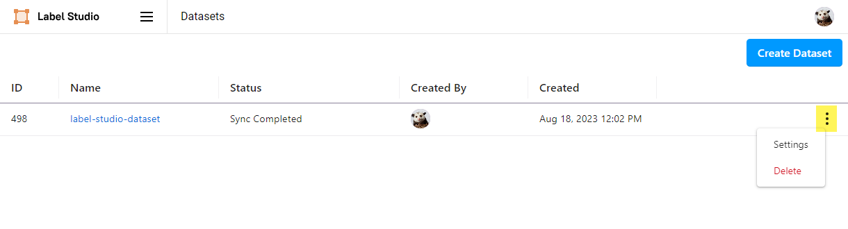 Overflow menu next to a dataset